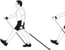 Indicaties en contra-indicaties voor nordic walking met stokken