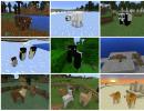 Nieuwe dierenmod 1.12 2. Download dierenmod voor Minecraft PE.  Een korte gids over dieren en hun leefgebieden